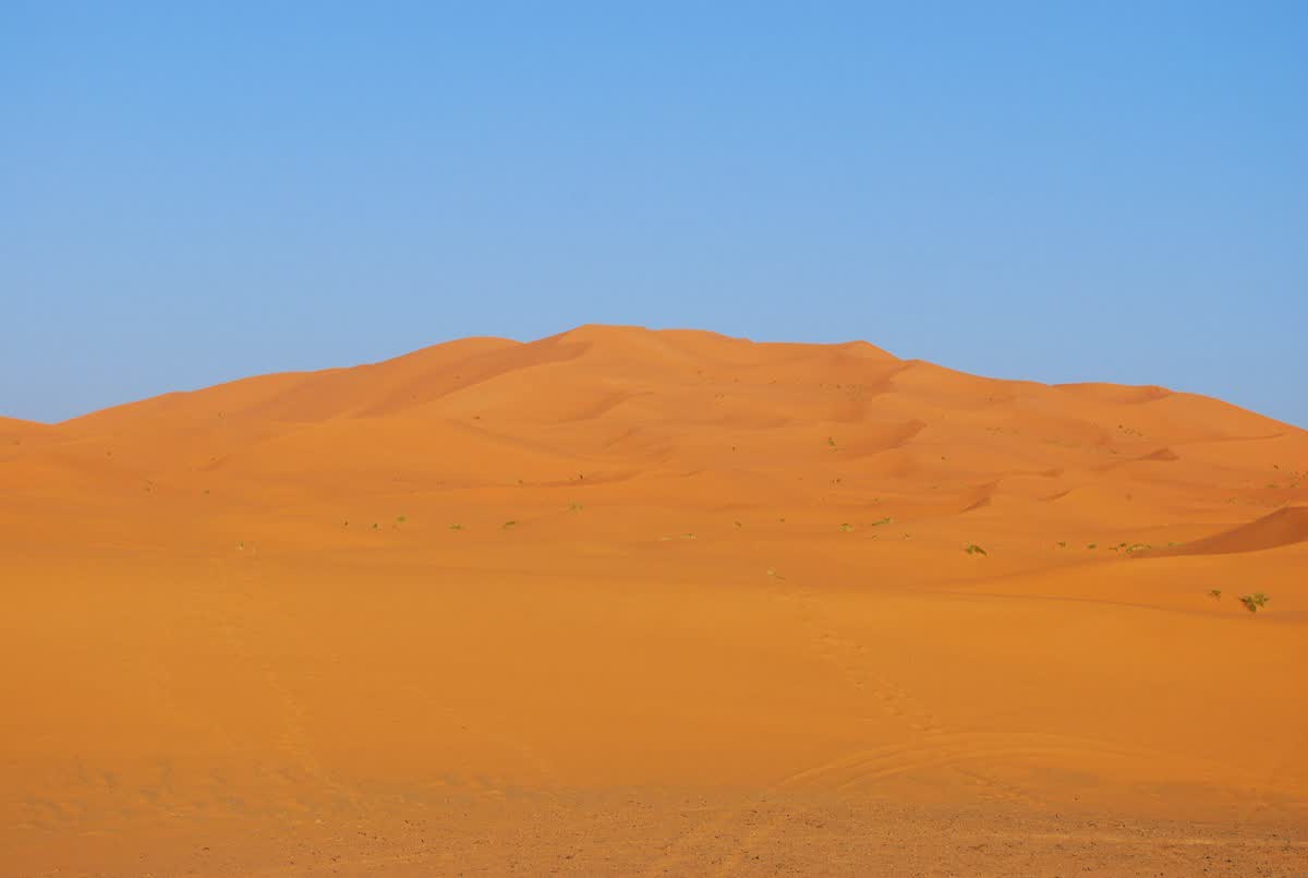Sahara Desert Adventure